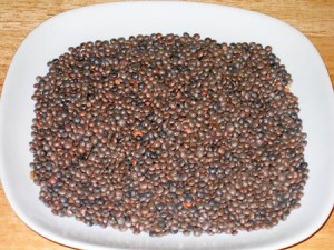 Masoor dal (lentils)
